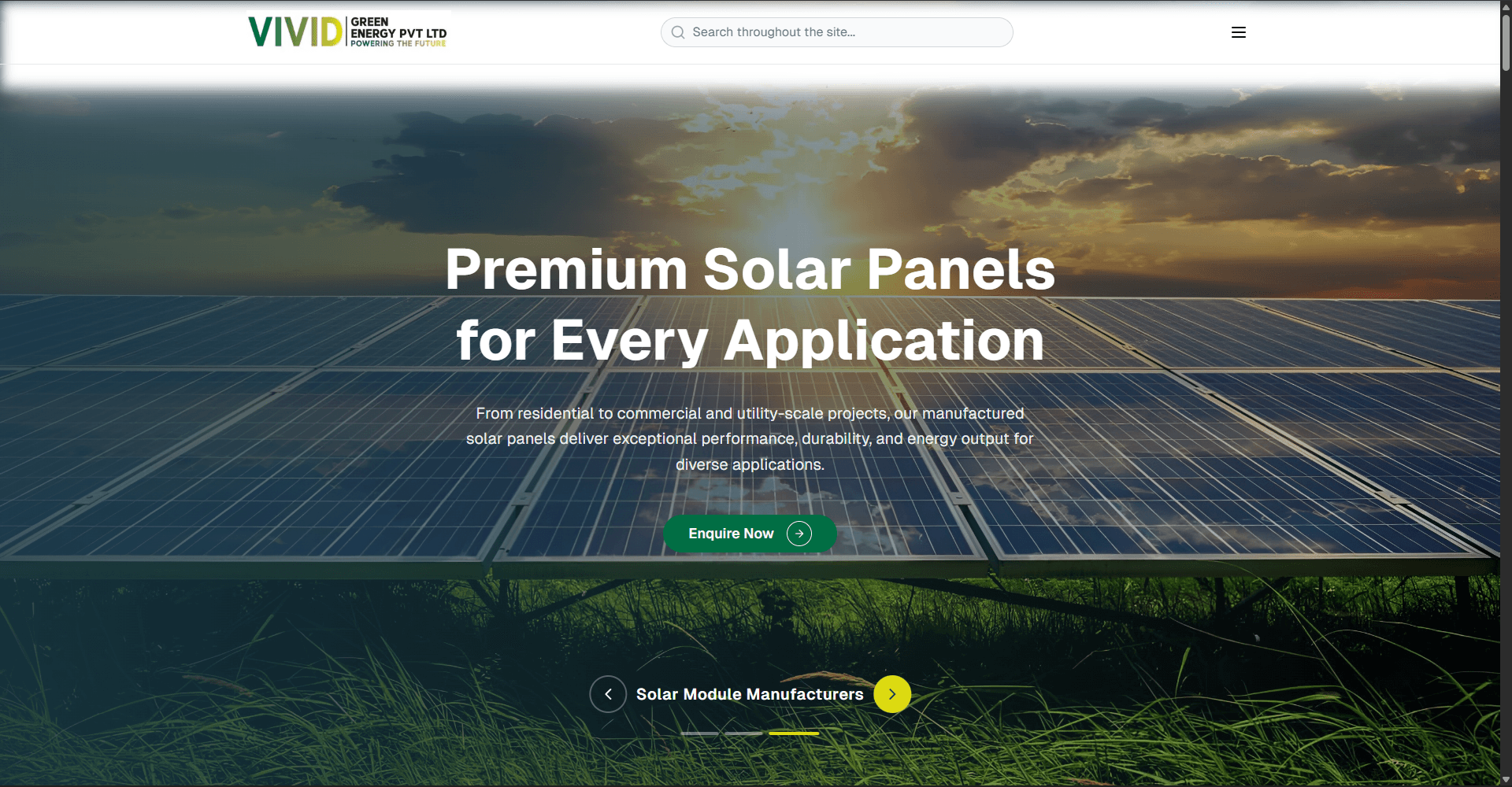 Vivid Green Energy