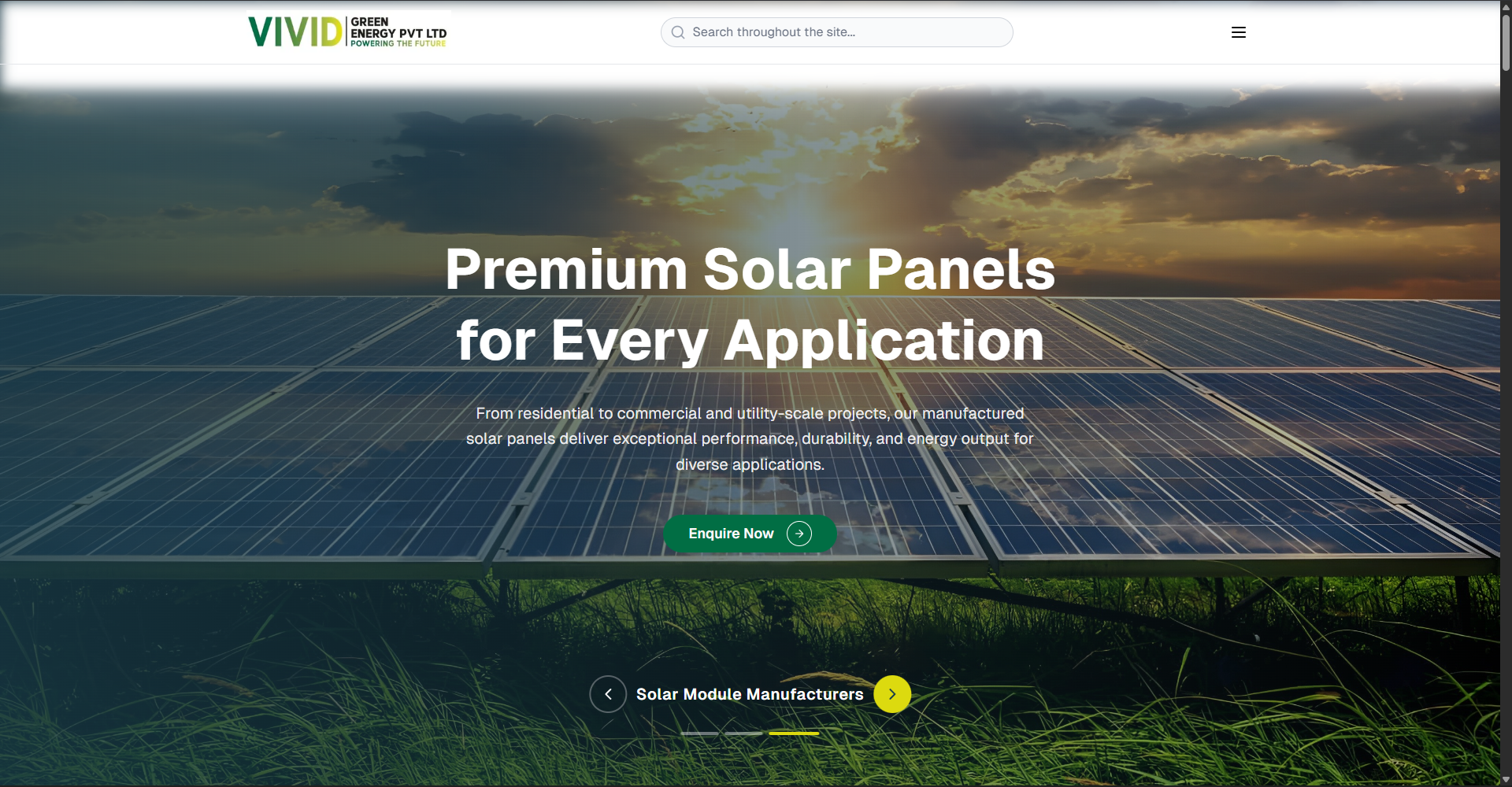 Vivid Green Energy